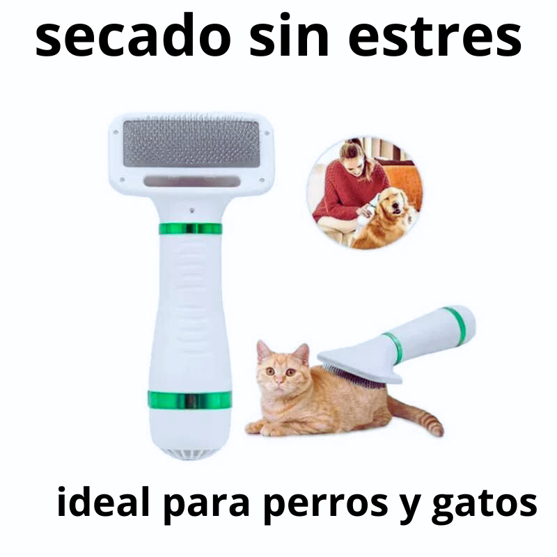 ¡Di adiós al pelo mojado por horas!