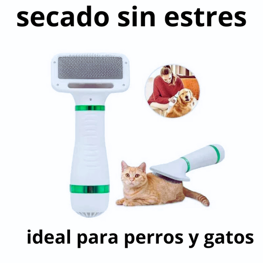 ¡Di adiós al pelo mojado por horas!